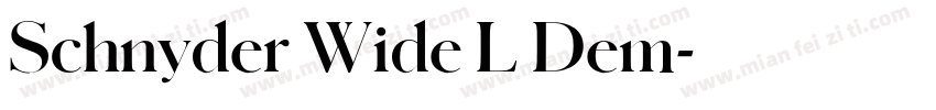 Schnyder Wide L Dem字体转换